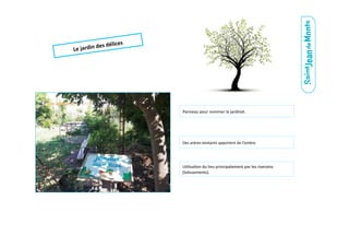 Le	
  jardin	
  des	
  délices	
  
Panneau	
  pour	
  nommer	
  le	
  jardinet.	
  
Des	
  arbres	
  existants	
  apportent	
  de	
  l’ombre.	
  
U.lisa.on	
  du	
  lieu	
  principalement	
  par	
  les	
  riverains	
  
(lo.ssements).	
  
 
