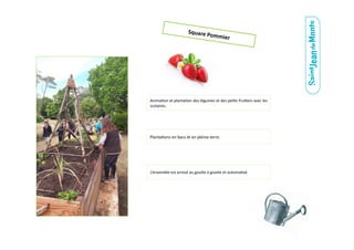 Square	
  Pommier	
  
Anima.on	
  et	
  planta.on	
  des	
  légumes	
  et	
  des	
  pe.ts	
  frui.ers	
  avec	
  les	
  
scolaires.	
  
Planta.ons	
  en	
  bacs	
  et	
  en	
  pleine	
  terre.	
  
L’ensemble	
  est	
  arrosé	
  au	
  gou6e	
  à	
  gou6e	
  et	
  automa.sé.	
  
 