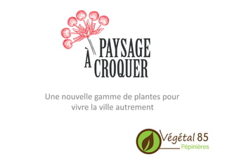 Une	
  nouvelle	
  gamme	
  de	
  plantes	
  pour	
  
vivre	
  la	
  ville	
  autrement	
  
 