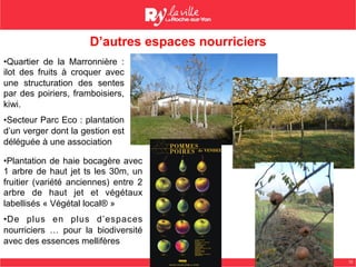 12
D’autres espaces nourriciers
• Quartier de la Marronnière :
ilot des fruits à croquer avec
une structuration des sentes
par des poiriers, framboisiers,
kiwi.
• Secteur Parc Eco : plantation
d’un verger dont la gestion est
déléguée à une association
• Plantation de haie bocagère avec
1 arbre de haut jet ts les 30m, un
fruitier (variété anciennes) entre 2
arbre de haut jet et végétaux
labellisés « Végétal local® »
• De plus en plus d’espaces
nourriciers … pour la biodiversité
avec des essences mellifères
 
