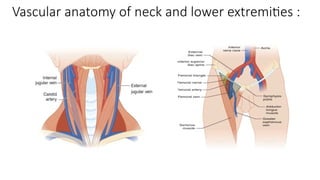 Vascular anatomy of neck and lower extremities :
 