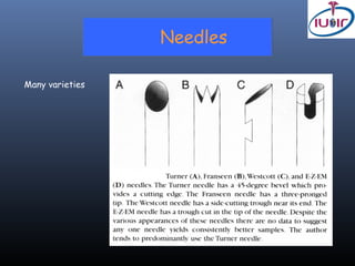 Needles

Many varieties
 