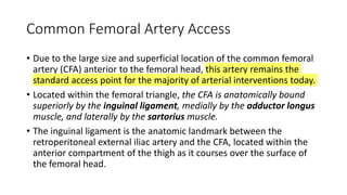 Common Femoral Artery Access
• Due to the large size and superficial location of the common femoral
artery (CFA) anterior to the femoral head, this artery remains the
standard access point for the majority of arterial interventions today.
• Located within the femoral triangle, the CFA is anatomically bound
superiorly by the inguinal ligament, medially by the adductor longus
muscle, and laterally by the sartorius muscle.
• The inguinal ligament is the anatomic landmark between the
retroperitoneal external iliac artery and the CFA, located within the
anterior compartment of the thigh as it courses over the surface of
the femoral head.
 