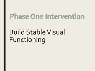 Build StableVisual
Functioning
 