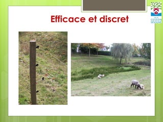 Efficace et discret
 