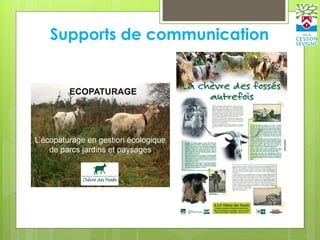Supports de communication
 