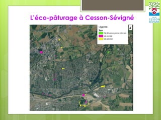 L’éco-pâturage à Cesson-Sévigné
 