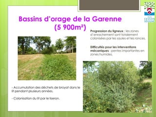 Bassins d’orage de la Garenne
(5 900m²)- Progression du ligneux : les zones
d’enrochement sont totalement
colonisées par les saules et les ronces.
- Difficultés pour les interventions
mécaniques : pentes importantes en
zones humides.
- Accumulation des déchets de broyat dans le
lit pendant plusieurs années.
- Colonisation du lit par le liseron.
 