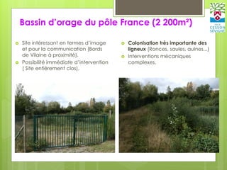 Bassin d’orage du pôle France (2 200m²)
 Site intéressant en termes d’image
et pour la communication (Bords
de Vilaine à proximité).
 Possibilité immédiate d’intervention
( Site entièrement clos).
 Colonisation très importante des
ligneux (Ronces, saules, aulnes...)
 Interventions mécaniques
complexes.
 