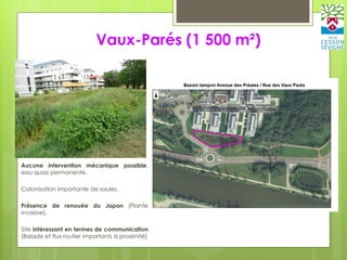 Vaux-Parés (1 500 m²)
- Aucune intervention mécanique possible,
eau quasi permanente.
- Colonisation importante de saules.
- Présence de renouée du Japon (Plante
invasive).
- Site intéressant en termes de communication
(Balade et flux routier importants à proximité)
 