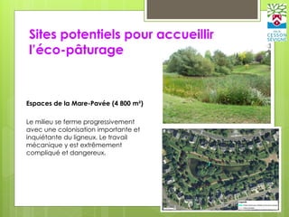 Sites potentiels pour accueillir
l’éco-pâturage
Espaces de la Mare-Pavée (4 800 m²)
Le milieu se ferme progressivement
avec une colonisation importante et
inquiétante du ligneux. Le travail
mécanique y est extrêmement
compliqué et dangereux.
 