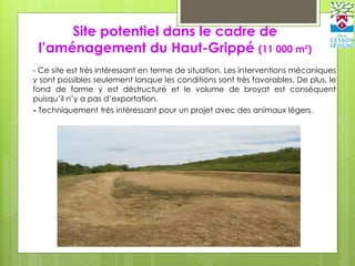 Site potentiel dans le cadre de
l’aménagement du Haut-Grippé (11 000 m²)
- Ce site est très intéressant en terme de situation. Les interventions mécaniques
y sont possibles seulement lorsque les conditions sont très favorables. De plus, le
fond de forme y est déstructuré et le volume de broyat est conséquent
puisqu’il n’y a pas d’exportation.
- Techniquement très intéressant pour un projet avec des animaux légers.
 