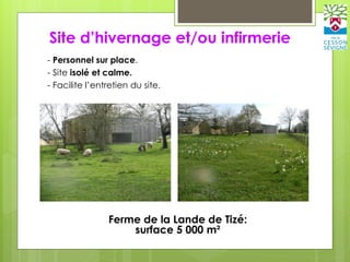 Site d’hivernage et/ou infirmerie
Ferme de la Lande de Tizé:
surface 5 000 m²
- Personnel sur place.
- Site isolé et calme.
- Facilite l’entretien du site.
 