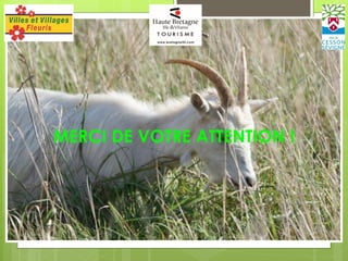 MERCI DE VOTRE ATTENTION !
 