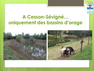 A Cesson-Sévigné…
uniquement des bassins d’orage
 