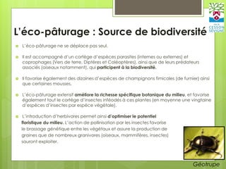 L’éco-pâturage : Source de biodiversité
 L’éco-pâturage ne se déplace pas seul.
 Il est accompagné d’un cortège d’espèces parasites (internes ou externes) et
coprophages (Vers de terre, Diptères et Coléoptères), ainsi que de leurs prédateurs
associés (oiseaux notamment), qui participent à la biodiversité.
 Il favorise également des dizaines d’espèces de champignons fimicoles (de fumier) ainsi
que certaines mousses.
 L’éco-pâturage extensif améliore la richesse spécifique botanique du milieu, et favorise
également tout le cortège d’insectes inféodés à ces plantes (en moyenne une vingtaine
d’espèces d’insectes par espèce végétale).
 L’introduction d’herbivores permet ainsi d’optimiser le potentiel
floristique du milieu. L’action de pollinisation par les insectes favorise
le brassage génétique entre les végétaux et assure la production de
graines que de nombreux granivores (oiseaux, mammifères, insectes)
sauront exploiter.
Géotrupe
 