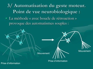 3/ Automatisation du geste moteur.
Point de vue neurobiologique :
• La méthode « avec boucle de rétroaction »
provoque des automatismes souples :
Prise d’information
Mouvement
Prise d’information
Mouvement
 