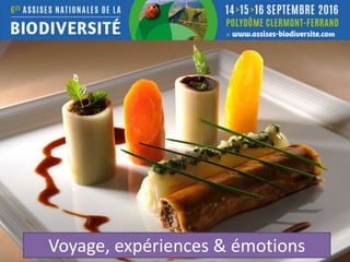 Voyage, expériences & émotions
 