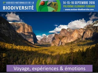 Voyage, expériences & émotions
 
