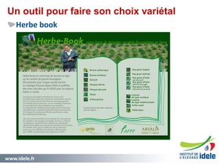 www.idele.fr 11
Un outil pour faire son choix variétal
Herbe book
11
 