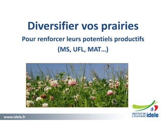 www.idele.fr 2
Diversifier vos prairies
Pour renforcer leurs potentiels productifs
(MS, UFL, MAT…)
 