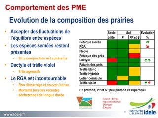 www.idele.fr 20
Evolution de la composition des prairies
• Accepter des fluctuations de
l’équilibre entre espèces
• Les espèces semées restent
présentes
• Si la composition est cohérente
• Dactyle et trèfle violet
• Très agressifs
• Le RGA est incontournable
• Bon démarrage et couvert dense
• Mortalité lors des récentes
sécheresses de longue durée
20
Socia Evolution
bilité P PP et S %
Fétuque élevée 
RGA 
Fléole
Fétuque des prés
Dactyle 
Pâturin des prés
Trèfle blanc
Trèfle Hybride
Lotier corniculé
Trèfle violet 
P : profond, PP et S : peu profond et superficiel
Sol
Source : Ferme
expérimentale de
Thorigné
d’Anjou
Comportement des PME
 