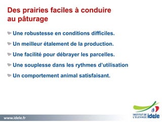 www.idele.fr 2424
Des prairies faciles à conduire
au pâturage
Une robustesse en conditions difficiles.
Un meilleur étalement de la production.
Une facilité pour débrayer les parcelles.
Une souplesse dans les rythmes d’utilisation
Un comportement animal satisfaisant.
 