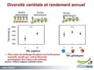 www.idele.fr 2525
Nb. espèces
Nb. genotypes
05 / 12 / 2014
 Plus-value du mélange d’espèces sur la biomasse
annuelle quelle que soit la diversité
génotypique des espèces du mélange
Source : INRA Lusignan, Isabelle Litrico
MONO
SPECIFIQUE
PLURI
SPECIFIQUE
PLURI-
SPECIFIQUE
Diversité variétale et rendement annuel
Nb. génotypes
 