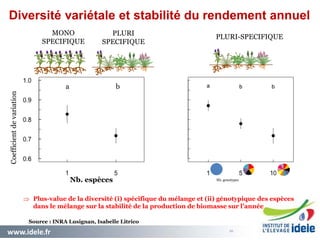 www.idele.fr 2626
.026
Coefficientdevariation
 Plus-value de la diversité (i) spécifique du mélange et (ii) génotypique des espèces
dans le mélange sur la stabilité de la production de biomasse sur l’année
MONO
SPECIFIQUE
PLURI
SPECIFIQUE
PLURI-SPECIFIQUE
a b
Nb. espèces Nb. genotypes
Diversité variétale et stabilité du rendement annuel
Source : INRA Lusignan, Isabelle Litrico
 