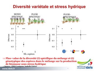 www.idele.fr 2727
.027
05 / 12 / 2014
MONO
SPECIFIQU
E
PLURI
SPECIFIQU
E
PLURI-
SPECIFIQUE
1 5
Nb. espèces
1 5 10 Nb. genotypes
 Plus- value de la diversité (i) spécifique du mélange et (i)
génotypique des espèces dans le mélange sur la production
de biomasse sous stress hydrique
Source : INRA Lusignan, Isabelle Litrico
Diversité variétale et stress hydrique
 