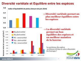 www.idele.fr 2828
.028
05 / 12 / 2014
M3 plurivariétal
M2 plurivariétal
M1 - monovariétal
M5 - monovariétal
M4 - plurivariétal
Indice d'équitabilité de pielou (mesure de juin 2014)
Diversité variétale permet un
plus meilleur équilibre entre
les espèces
La diversité variétale
permet un bon
équilibre des espèces et
un meilleur maintien
de la luzerne
0.00
2.00
4.00
6.00
8.00
10.00
12.00
14.00
16.00
2012 2013 2014 cumul années
BiomassesèchedeLuzerne(g.0.25m²)
La coexistence des espèces
un élément clé dans la valeur alimentaire
des fourrages ?
0.4
0.5
0.6
0.7
0.8
Diversité variétale et Equilibre entre les espèces
 