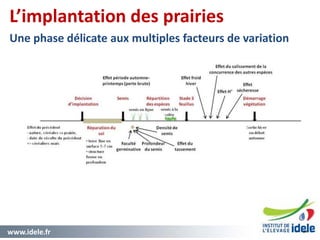 www.idele.fr 3232
L’implantation des prairies
Une phase délicate aux multiples facteurs de variation
 
