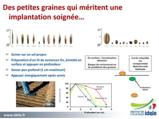 www.idele.fr 33
Des petites graines qui méritent une
implantation soignée…
33
Tauxdelevée(%)
Fléole
Dactyle
Fétuque élevée
Ray-grass
anglais
Profondeur
idéale
Levée retardée
ou
compromise
dans les sols
battants
En surface : Germination
aléatoire
Risque de ravinement ou
de prédation des graines
Semer sur un sol propre
Préparation d'un lit de semences fin, émietté en
surface et appuyer en profondeur
Semer peu profond (1 cm maximum)
Appuyer énergiquement après semis
 