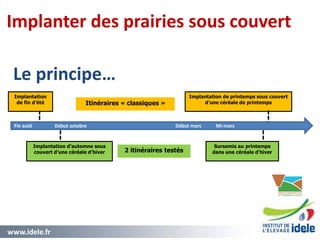 www.idele.fr 3737
Implanter des prairies sous couvert
Le principe…
Fin août Début octobre Début mars Mi-mars
Implantation
de fin d’été
Implantation de printemps sous couvert
d’une céréale de printemps
Implantation d’automne sous
couvert d’une céréale d’hiver
Sursemis au printemps
dans une céréale d’hiver2 itinéraires testés
Itinéraires « classiques »
 