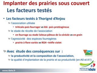 www.idele.fr 38
Implanter des prairies sous couvert
Les facteurs testés
• Les facteurs testés à Thorigné d’Anjou
l’association utilisée
• triticale-pois fourrager vs blé- pois protéagineux
le stade de récolte de l’association
• en fourrage au stade laiteux pâteux de la céréale vs en grain
l’agressivité des espèces fourragères
• prairie à flore variée vs RGH –trèfle violet
Avec étude des conséquences sur :
la productivité et la composition de l’association,
la qualité d’implantation de la prairie et sa productivité (en A0 et A1)
38
 
