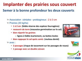 www.idele.fr 39
Implanter des prairies sous couvert
Semer à la bonne profondeur les deux couverts
Association céréales - protéagineux : 2 à 3 cm
Prairies (30 kg/ha)
• 1 à 2 cm (faible réserve des espèces fourragères)
• recouvrir de terre (mauvaise germination sur le sol)
• bien répartir les graines
– lignes à faible écartement, ou bottes levées
• bien rappuyer le sol après semis (rouleau denté)
avec :
• 2 passages (risque de tassement sur les passages de roues)
• 1 passage avec un double caisson
39
 