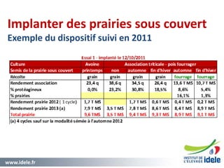 www.idele.fr 40
Implanter des prairies sous couvert
Exemple du dispositif suivi en 2011
40
 
