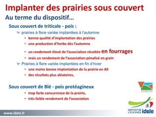 www.idele.fr 41
Implanter des prairies sous couvert
Au terme du dispositif…
Sous couvert de triticale - pois :
prairies à flore variée implantées à l’automne
• bonne qualité d’implantation des prairies
• une production d’herbe dès l’automne
• un rendement élevé de l’association récoltée en fourrages
• mais un rendement de l’association pénalisé en grain
Prairies à flore variée implantées en fin d’hiver
• une moins bonne implantation de la prairie en A0
• des résultats plus aléatoires,
Sous couvert de Blé - pois protéagineux
• trop forte concurrence de la prairie,
• très faible rendement de l’association
41
 