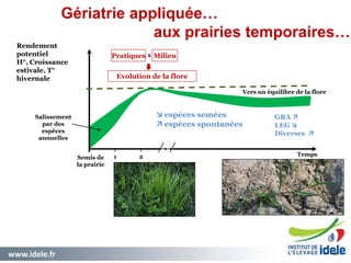 www.idele.fr 4545
Pratiques Milieu
Evolution de la flore
x
Rendement
potentiel
H°, Croissance
estivale, T°
hivernale
Temps
Semis de
la prairie
1 2
Salissement
par des
espèces
annuelles
 espèces semées
 espèces spontanées
GRA 
LEG 
Diverses 
Vers un équilibre de la flore
Gériatrie appliquée…
aux prairies temporaires…
Pâturin commun
Agrostis stolonifère
 
