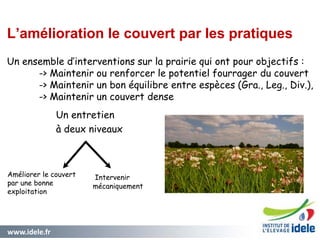 www.idele.fr 47
L’amélioration le couvert par les pratiques
Un ensemble d’interventions sur la prairie qui ont pour objectifs :
-> Maintenir ou renforcer le potentiel fourrager du couvert
-> Maintenir un bon équilibre entre espèces (Gra., Leg., Div.),
-> Maintenir un couvert dense
Un entretien
à deux niveaux
Améliorer le couvert
par une bonne
exploitation
Intervenir
mécaniquement
 