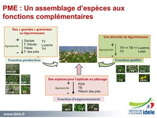 www.idele.fr 9
PME : Un assemblage d’espèces aux
fonctions complémentaires
PPTB
Fonction production
Fonction d’engazonnement
Fonction qualité
Des « grandes » graminées
ou légumineuses
Agressivité
Dactyle
F. Elevée
Fléole
F. des prés
TV
Luzerne
TH
Des espèces pour l’aptitude au pâturage
Une diversité de légumineuses
TH => TB => Luzerne
TV Lotier
+
-
Agressivité
RGA
TB
Pâturin des prés
Dactyle
F. Elevée Fléol
e
TV
TH
RGA
TB
F. prés
TH TV
lotier
Luz
Luz
TH
+
-
Agressivité
+
-
 