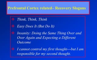 self-monitoringPrefrontal Cortex -- Functions(Coping Functions)attention span