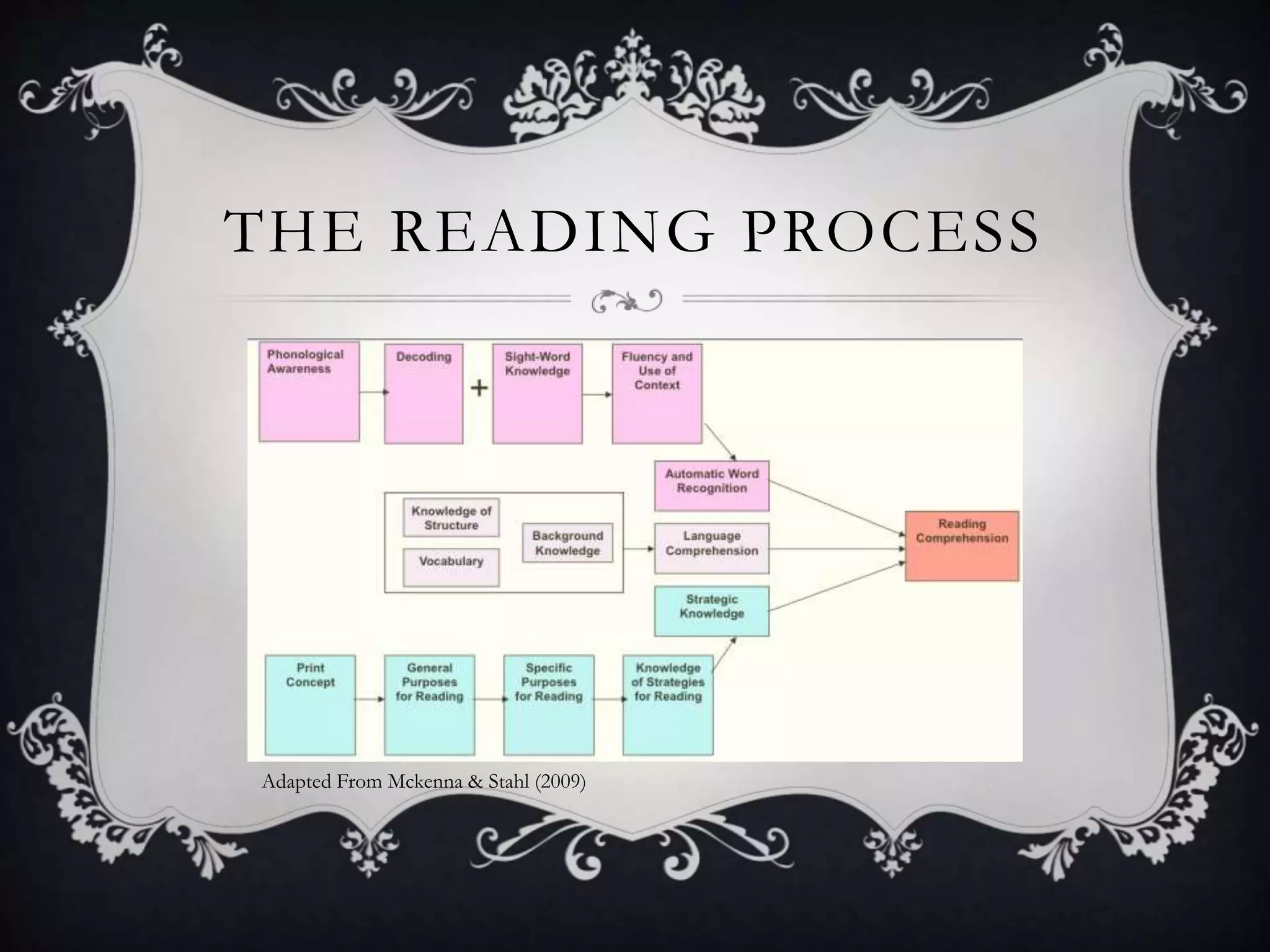 THE READING PROCESS
Adapted From Mckenna & Stahl (2009)
 