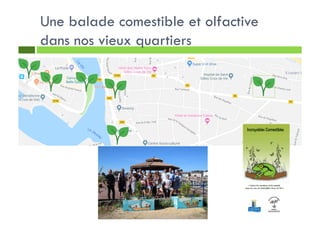 Une balade comestible et olfactive
dans nos vieux quartiers
 