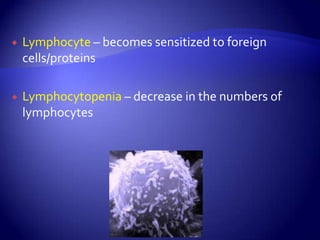 Lymphocyte – becomes sensitized to foreign cells/proteinsLymphocytopenia– decrease in the numbers of lymphocytes