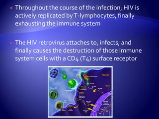 Throughout the course of the infection, HIV is actively replicated by T-lymphocytes, finally exhausting the immune systemThe HIV retrovirus attaches to, infects, and finally causes the destruction of those immune system cells with a CD4 (T4) surface receptor