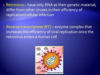 Retrovirus– have only RNA as their genetic material; differ from other viruses in their efficiency of replication/cellular infectionReverse transcriptase (RT) – enzyme complex that increases the efficiency of viral replication once the retrovirus enters a human cell