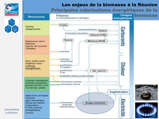 Les enjeux de la biomasse à la Réunion
                                        Principales valorisations énergétiques de la
                                                                           biomasse




                          , canne




                          , canne




                      , déchets verts




Université de               ,
La Réunion      vinasse
 