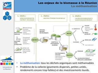 Les enjeux de la biomasse à la Réunion
                                                       La méthanisation




                • La méthanisation: tous les déchets organiques sont méthanisables
Université de   • Problème de la collecte (gisements dispersés, petites unités,
La Réunion
                  rendements encore trop faibles) et des investissements lourds.
 