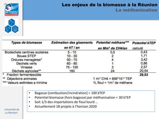 Les enjeux de la biomasse à la Réunion
                                                          La méthanisation




                •   Bagasse (combustion/incinération) = 100 kTEP
                •   Potentiel biomasse (hors bagasse) par méthanisation = 30 kTEP
                •   Soit 1/3 des importations de fioul lourd …
                •   Actuellement 18 projets à l’horizon 2020
Université de
La Réunion
 